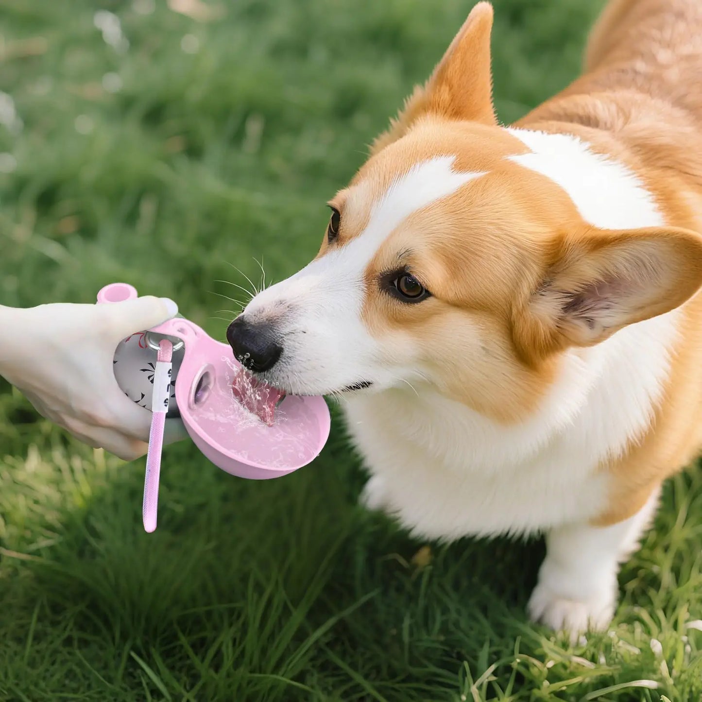 Portable Dog Water Bottle for Small Dogs