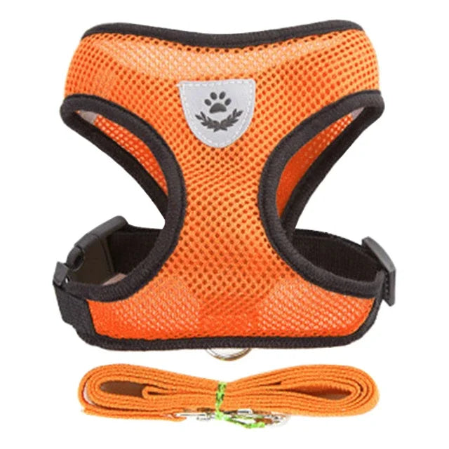 Pet Harness Vest Walking Lead Leash