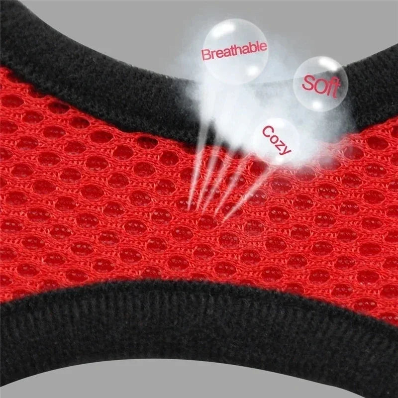 Pet Harness Vest Walking Lead Leash