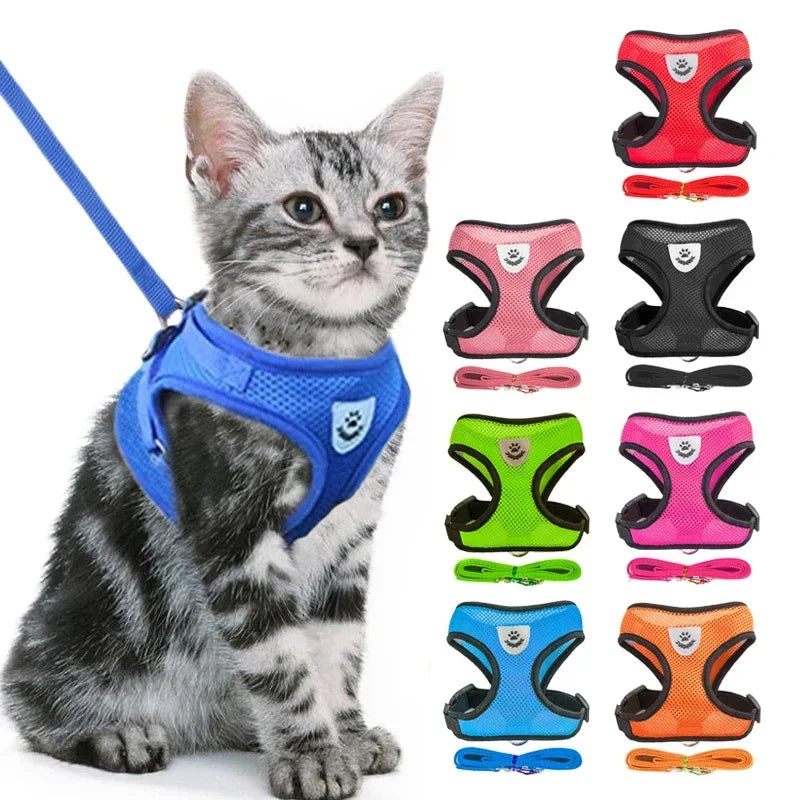 Pet Harness Vest Walking Lead Leash