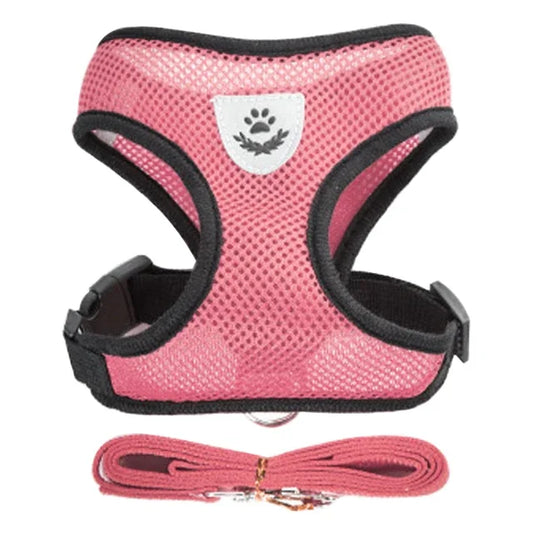 Pet Harness Vest Walking Lead Leash